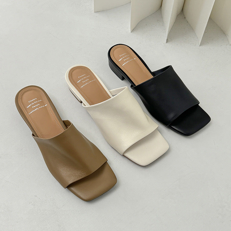 Leather shoes | Sandal | Sunlight