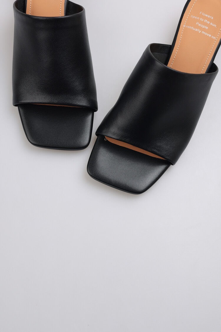 Leather shoes | Sandal | Sunlight